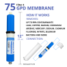 Membrane d'osmose 75 GPD Hidrotek NT03