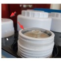 Tapa vaso NT03
