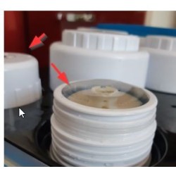 Tapa vaso NT03